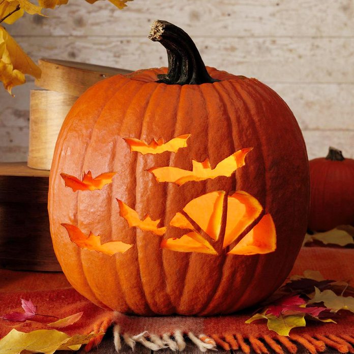 bats window pumpkin jack o'lantern