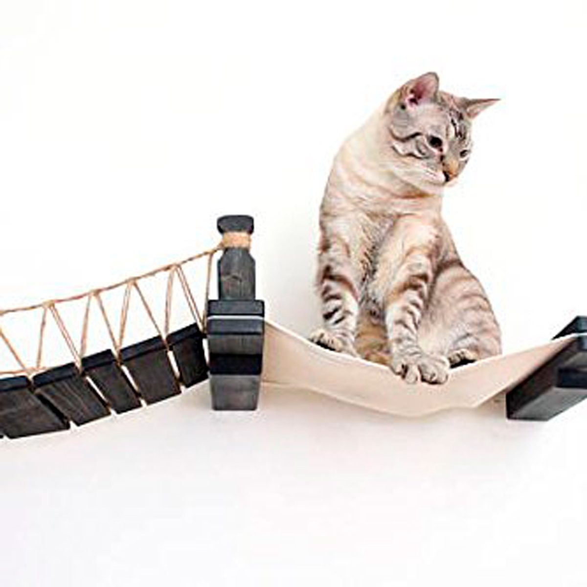 A cat sits on a suspended fabric platform held by wooden posts and ropes, positioned against a plain wall.