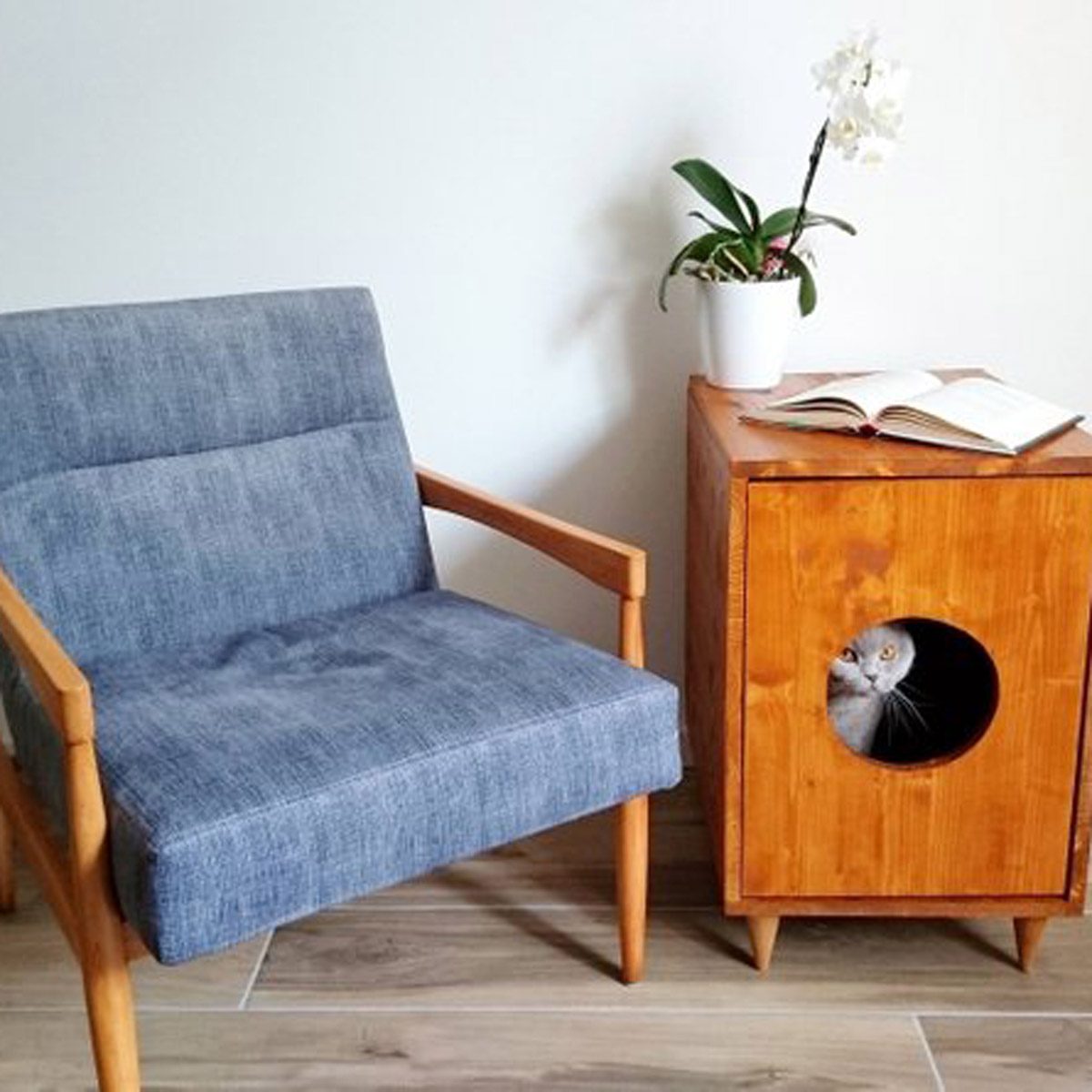 A gray cat peeks out from a wooden box beside a chair, which is situated near a plant and an open book on a table.