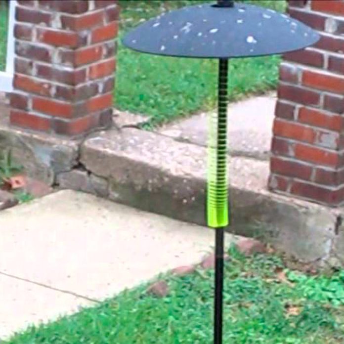 Slinky