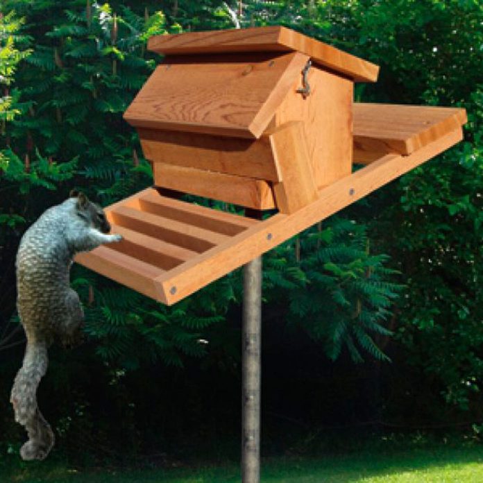 feeder