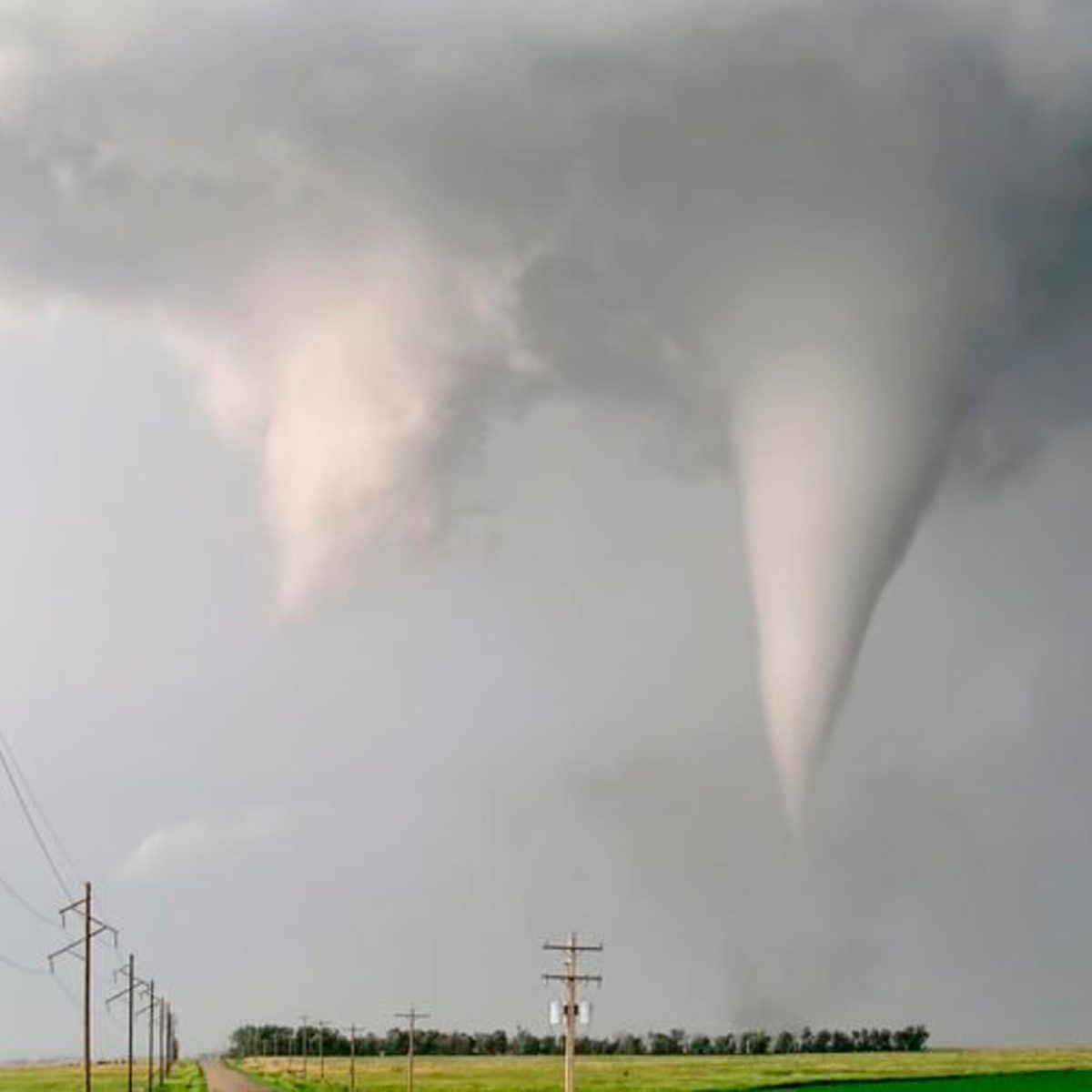 Two tornadoes descend from dark clouds above a wide grassy field, with power lines along a gravel road leading toward a treeline in the background.