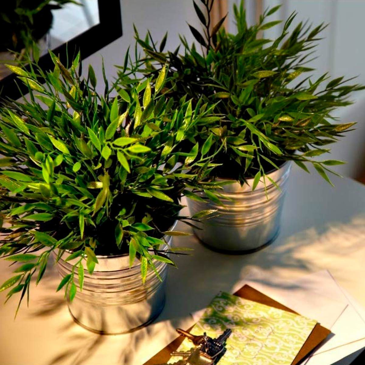 Two potted green plants sit on a table, casting shadows. Nearby, there are notes and a small decorative item. A mirror reflects the scene.