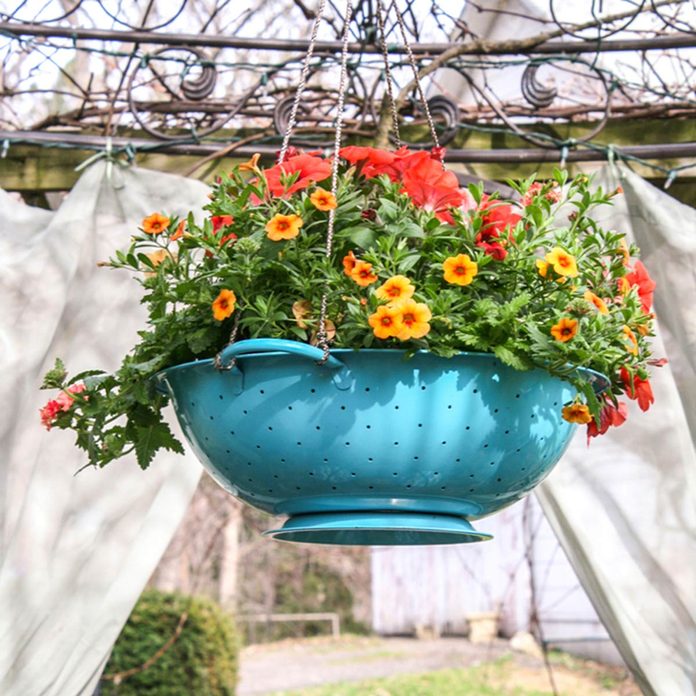 Colander