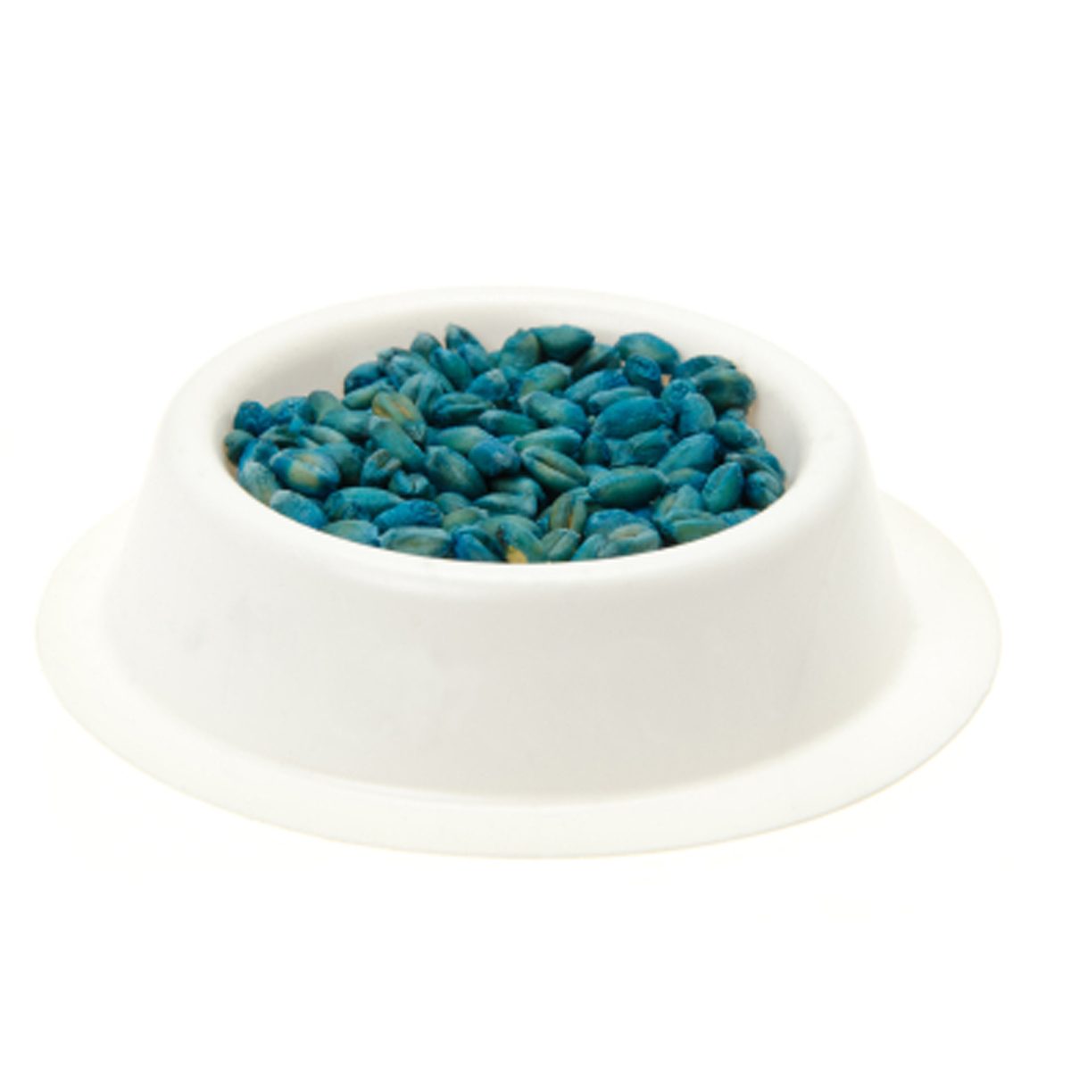 A white bowl contains small blue seeds, resting on a plain surface. The seeds are densely packed, indicating a full bowl ready for use.