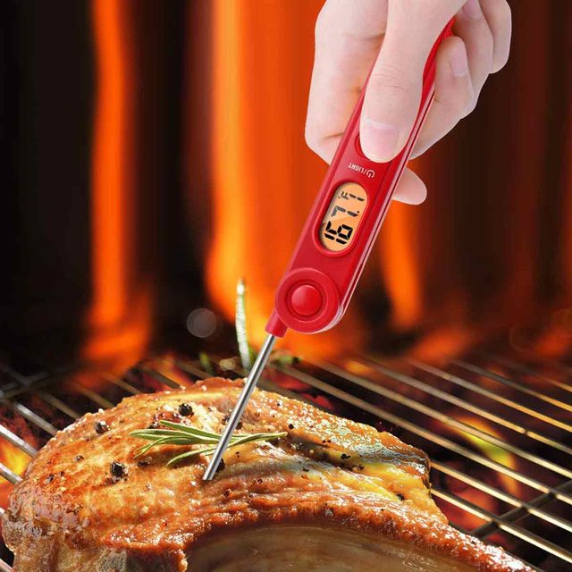 A hand holds a red digital thermometer, probing a cooked steak on a grill, with flames glowing in the background.