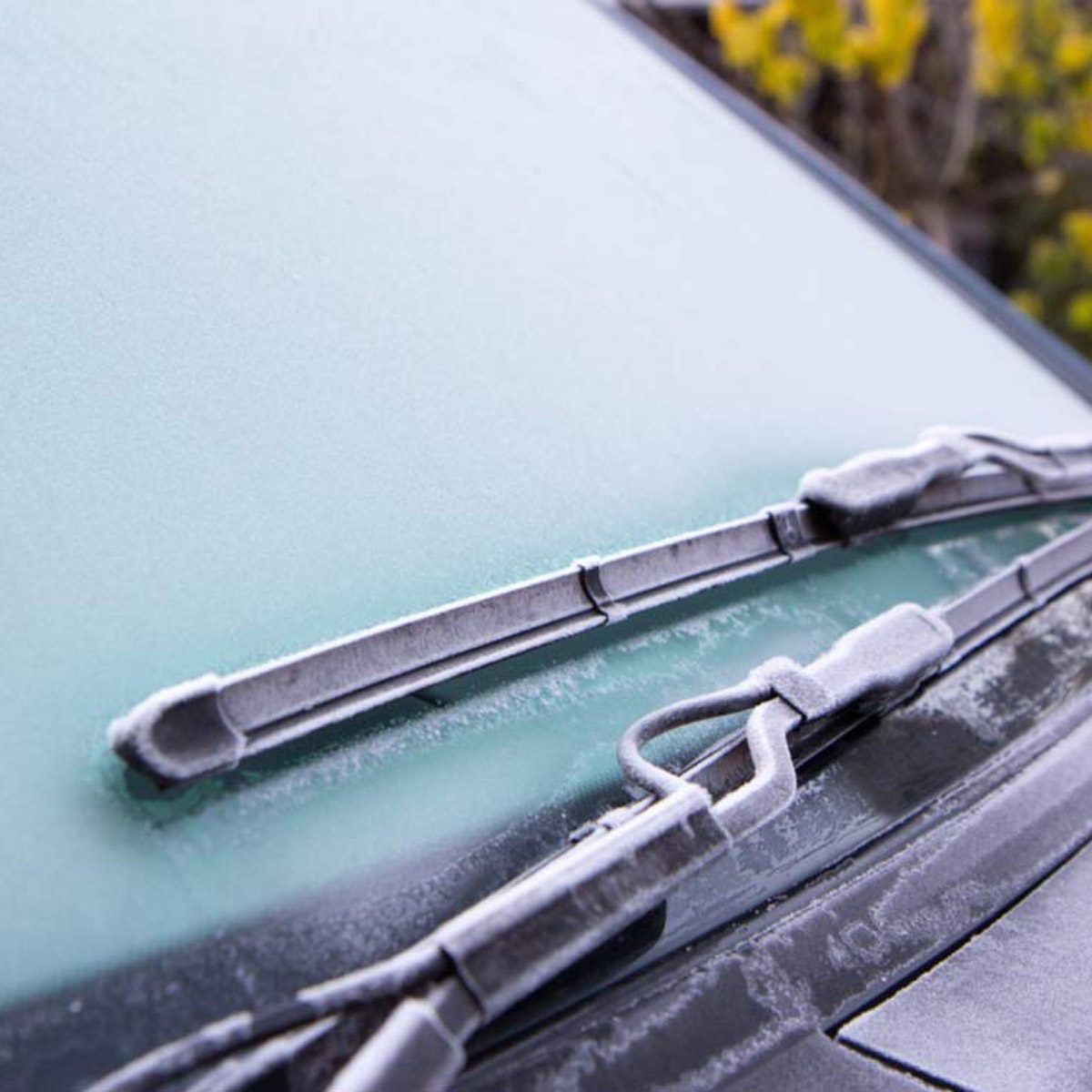 defog car windshield