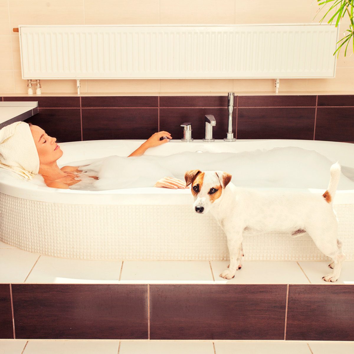 dog in bathroom