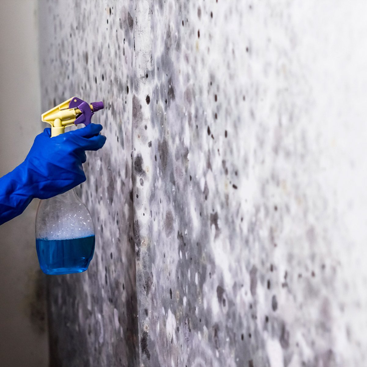spray