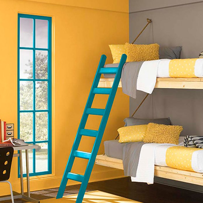 beds