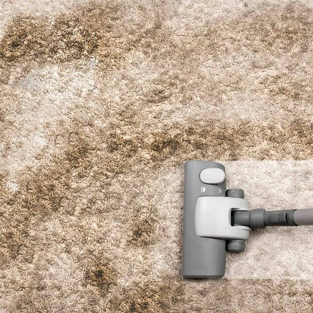 carpet