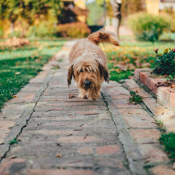 walk