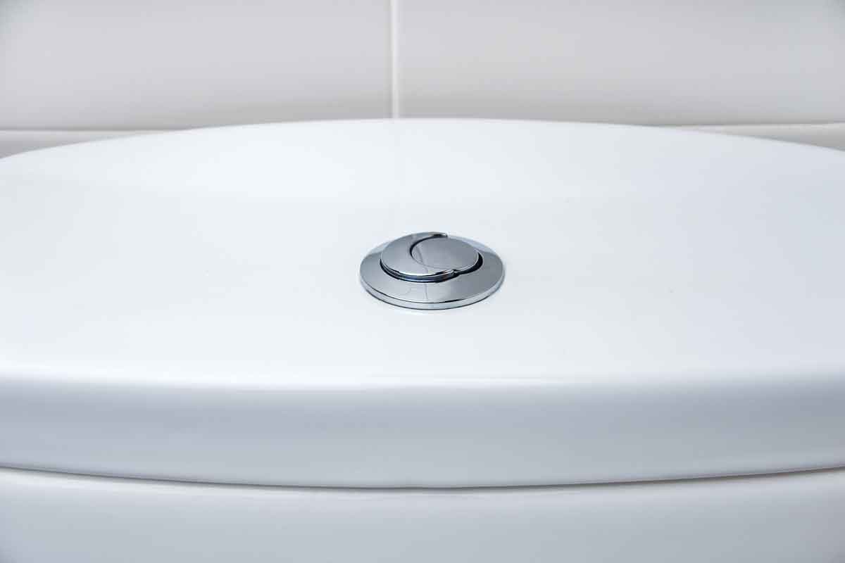 Here’s Why You Should Install a Dual-Flush Toilet