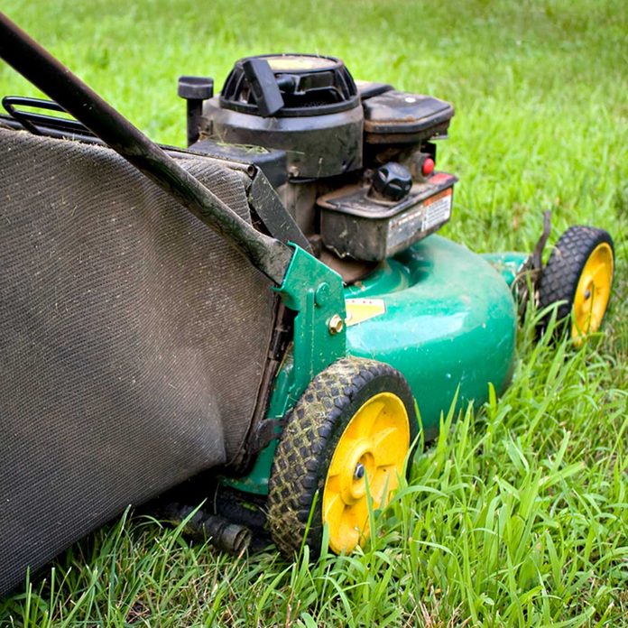 mower