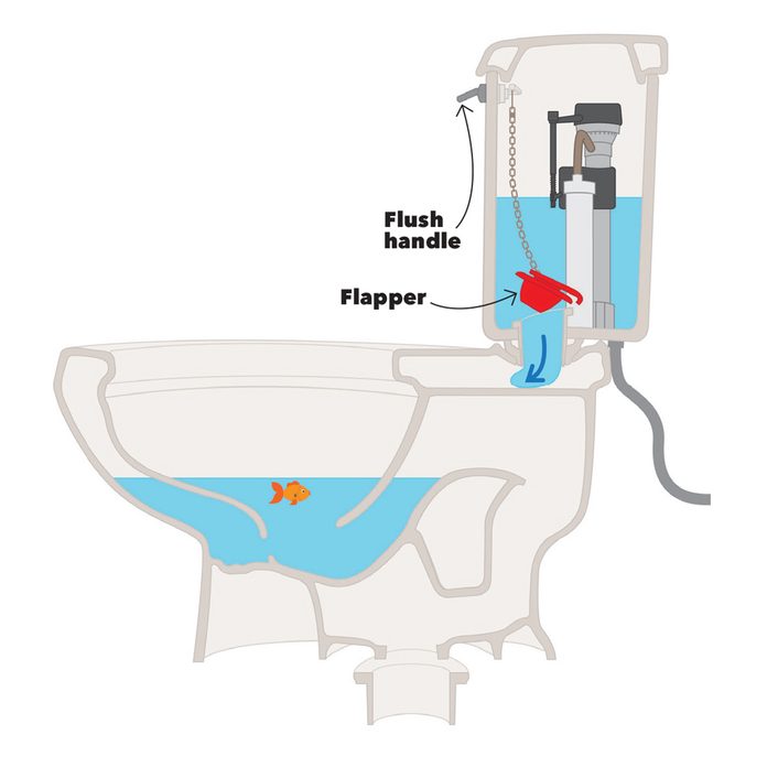 toilet