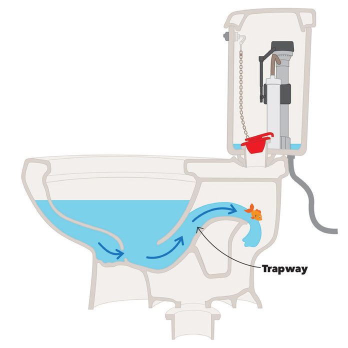 toilet-3