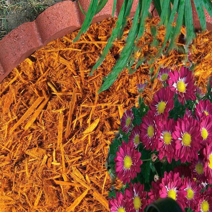 mulch