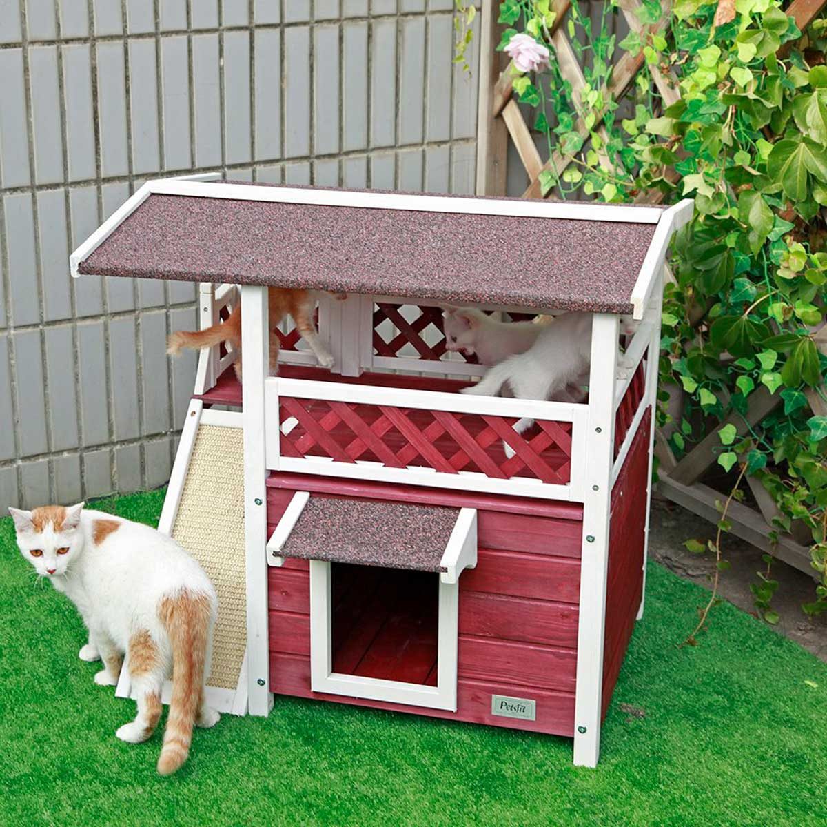 A wooden cat house resembles a small, multi-level structure with a sloped roof. Cats play inside and around it, situated on green grass near a wall.