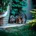 DIY Pest Control Strategies and Techniques