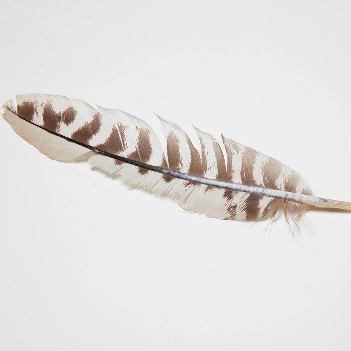 Feather