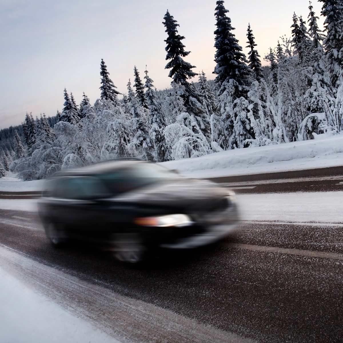 A black car speeds along a snow-covered road surrounded by tall, frosted pine trees under a pale sky.