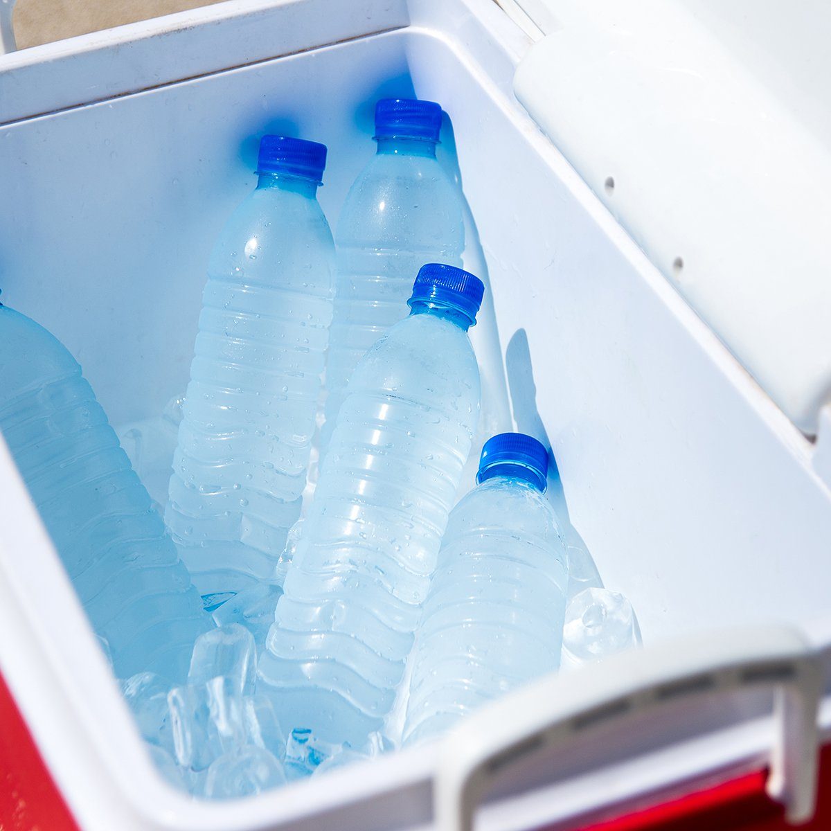 The water in the ice box on the beach
