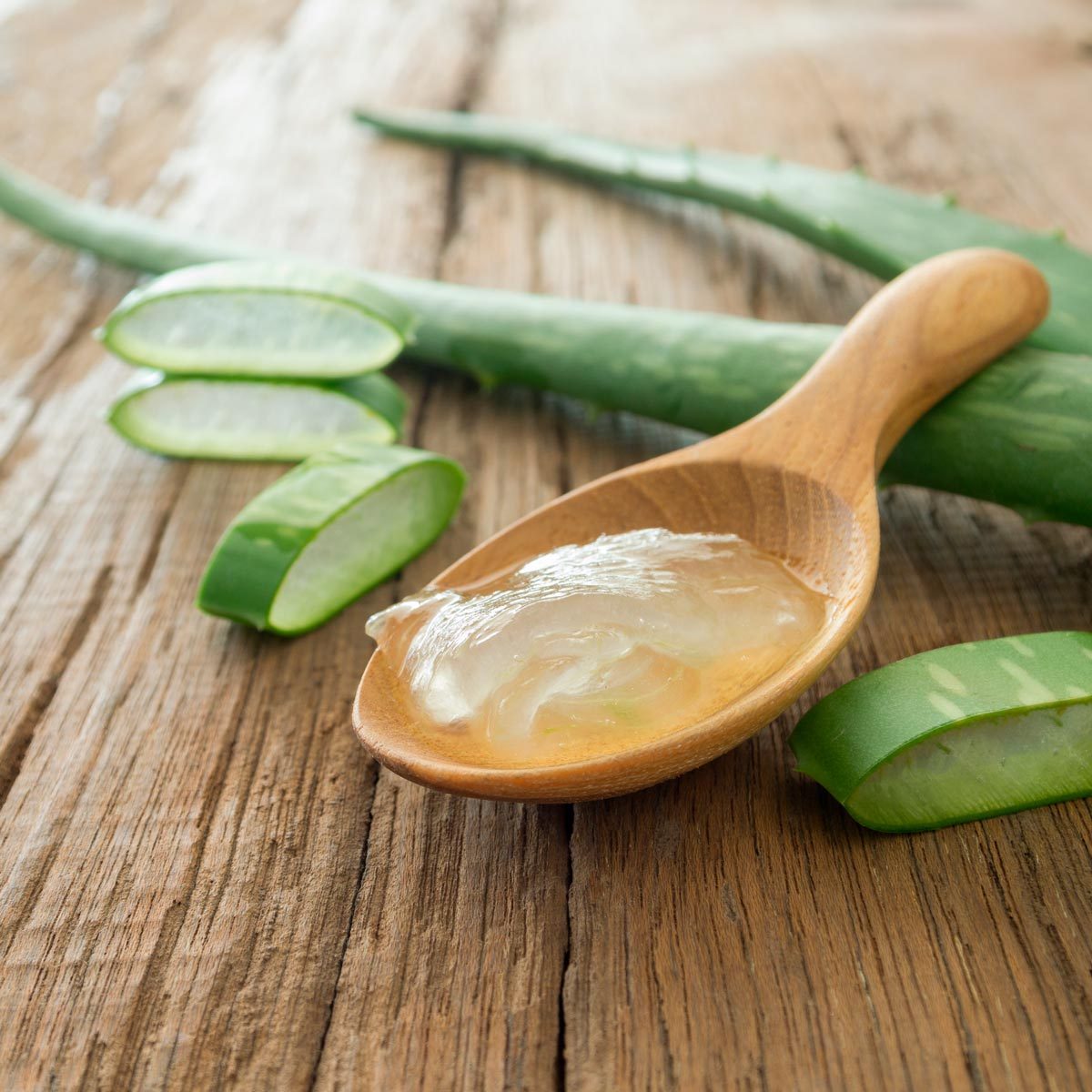 Aloe