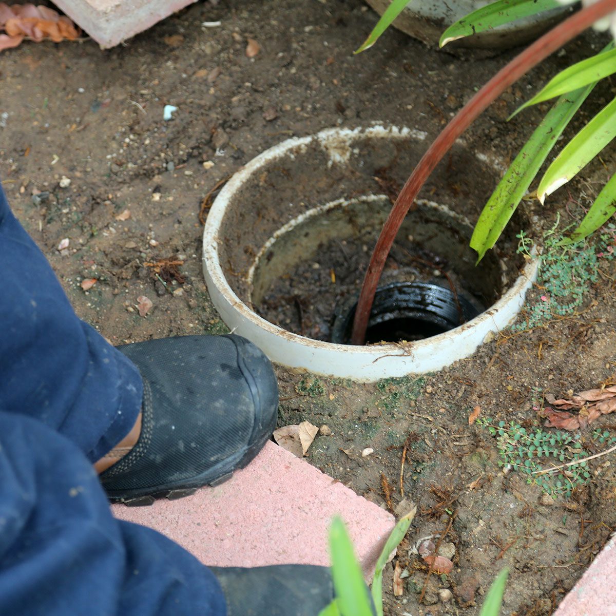 A brown hose drains into a circular pipe embedded in soil, surrounded by small plants and dirt, with a person's feet on the ground nearby.