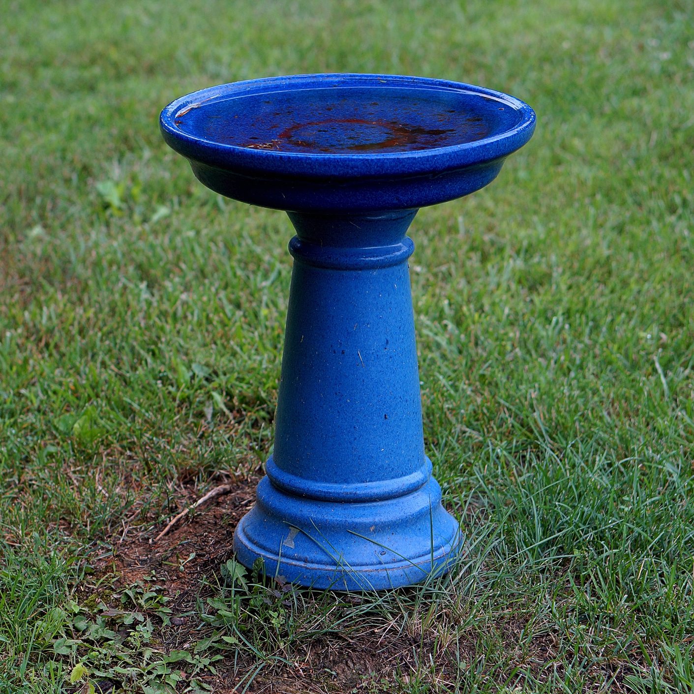 A blue birdbath stands on a grassy lawn, featuring a shallow basin and a pedestal, with some water collected in the bowl.