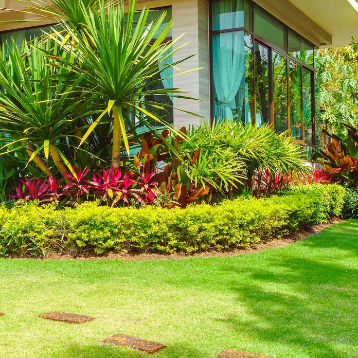 lawns