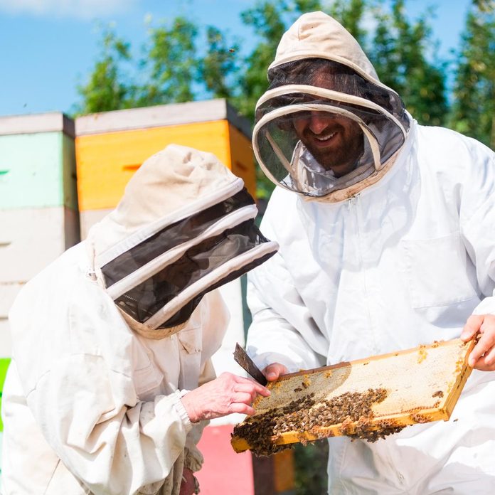 Beekeepers