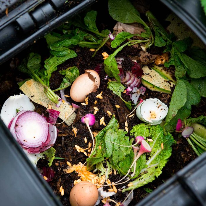 Compost