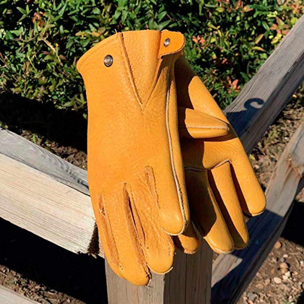 Gloves