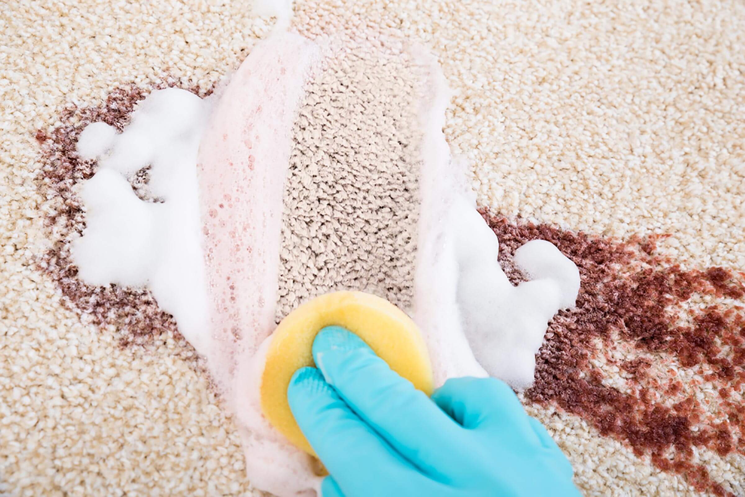 A hand with a gloved blue rubber glove scrubs a stained carpet with a yellow sponge. Soapy foam surrounds the cleaned area amidst the dirt.