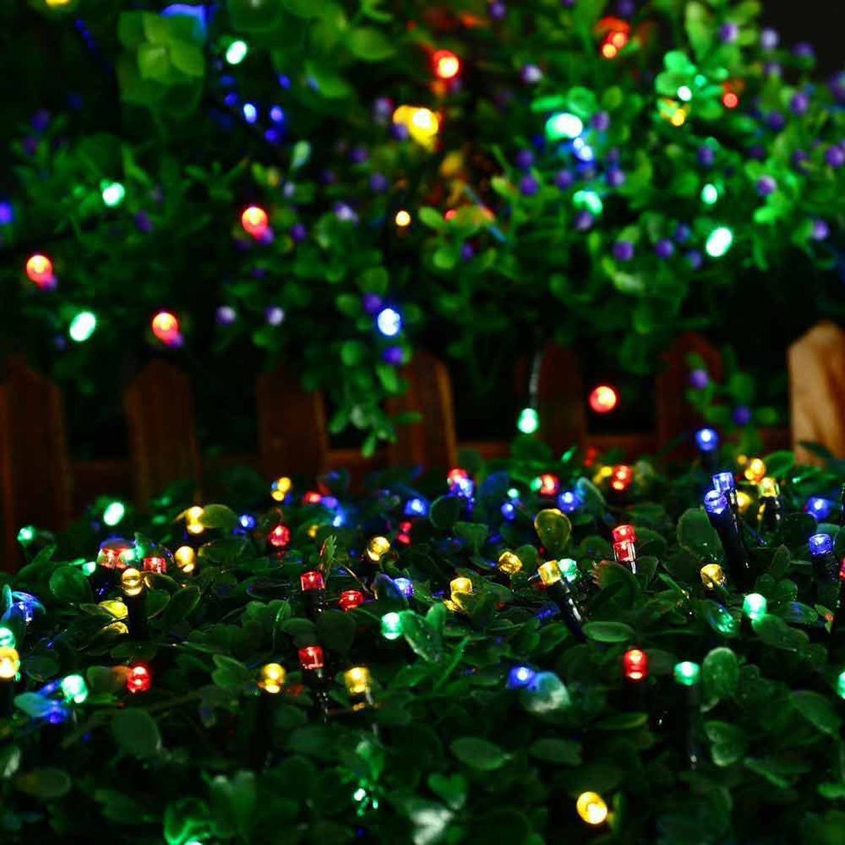 battery operated christmas lights