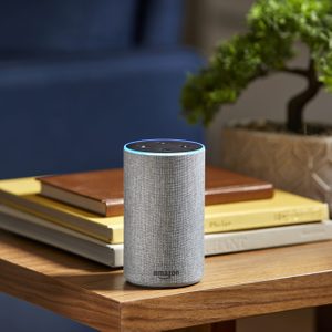 A smart speaker sits on a wooden table, surrounded by stacked books, with a green plant nearby, in a cozy interior setting.