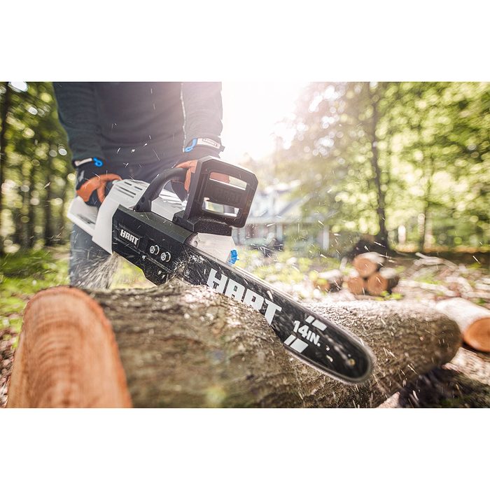 A chainsaw cuts through a log, sending wood shavings flying, in a sunlit forest backdrop with a house partially visible among the trees.