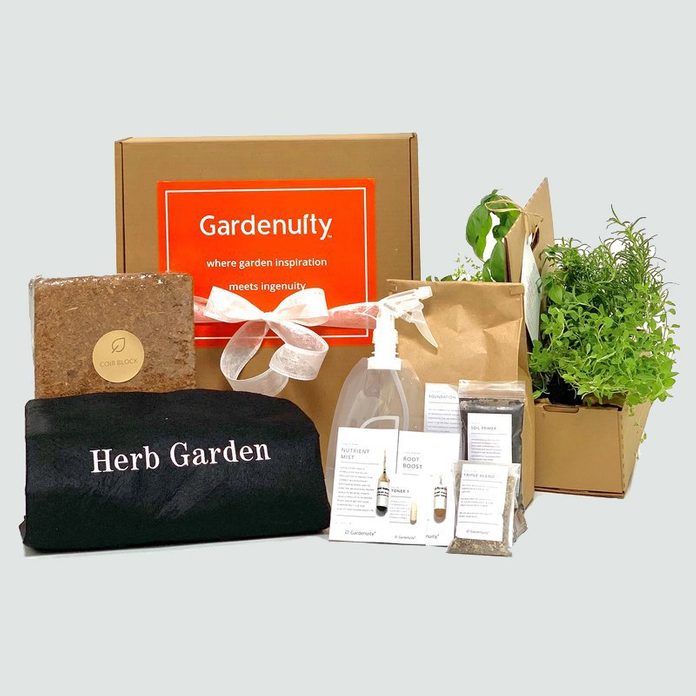 herb garden kit
