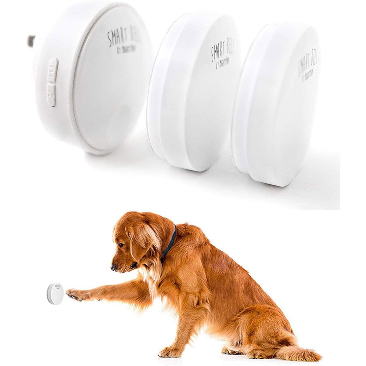 Dog doorbell