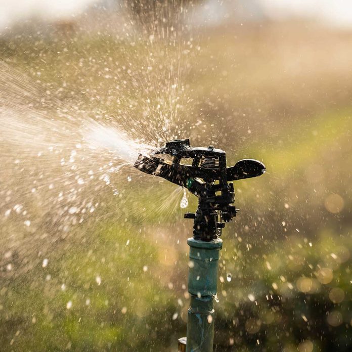 sprinkler