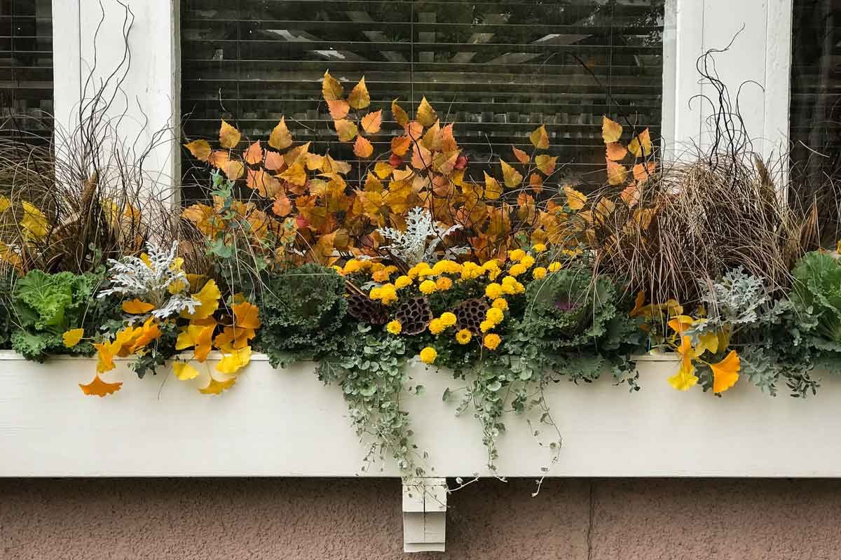 How to Transition Flower Pots From Summer to Fall