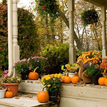 Colorful potted flowers and small pumpkins adorn wooden steps leading to a porch, surrounded by fall foliage and trees in the background.