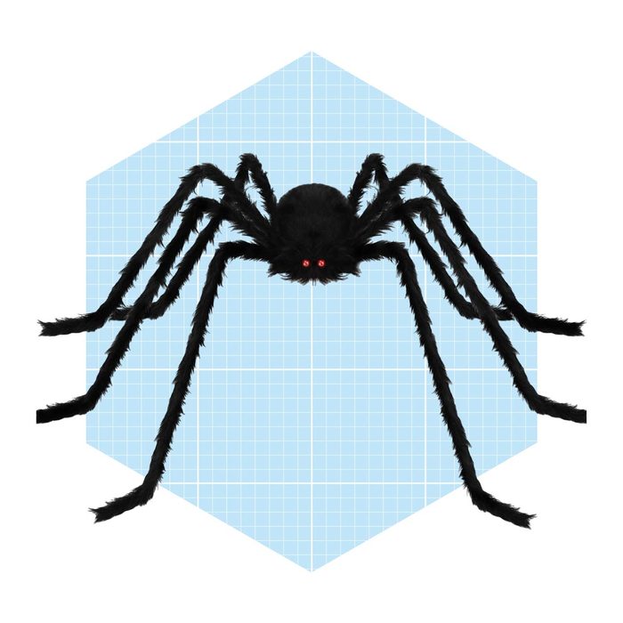A large, fluffy black spider with red eyes sits centered on a light blue grid background, showcasing its extended legs in a symmetrical pose.