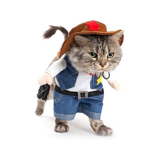 A dressed cat, wearing a sheriff outfit and hat, walks confidently while holding a toy gun, set against a plain white background.