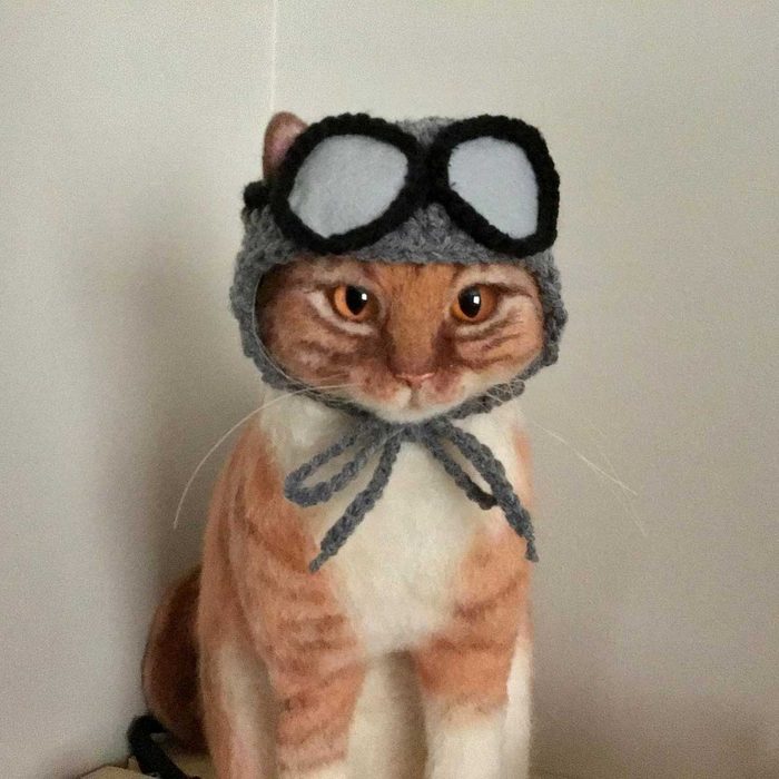 A cat wearing a knitted aviator hat and goggles sits upright against a plain background, presenting a whimsical, adventurous appearance.