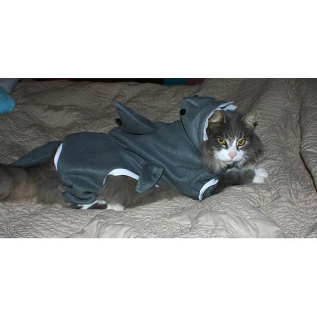 A cat wearing a shark costume lies on a bed, appearing relaxed against a textured, light-colored blanket. Shark fins are visible on its back.