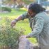 10 Perennials You Should Cut Back Every Fall (And 5 to Let Be)