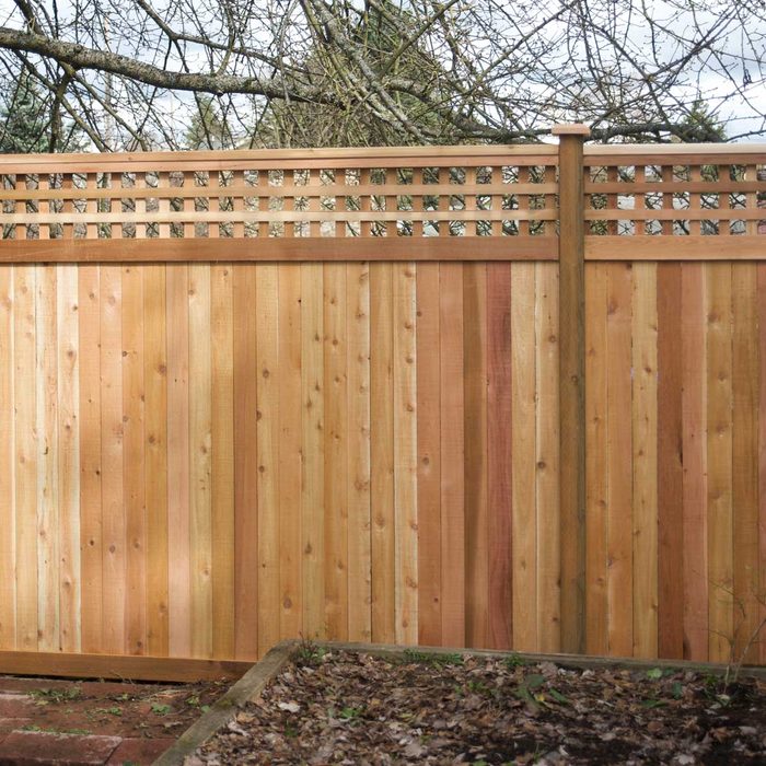 A wooden fence stands upright, featuring vertical planks and a lattice top, surrounded by bare branches and a small garden area with dry leaves.