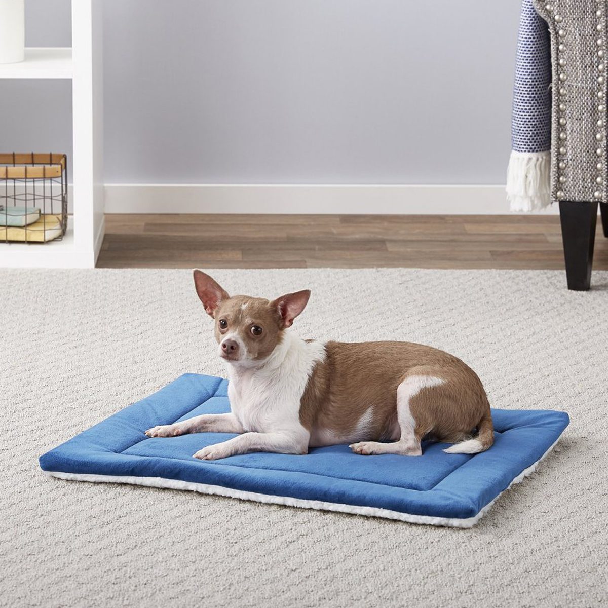 Frisco Self Warming Pillow Rectangular Pet Bed Ecomm Chewy.com