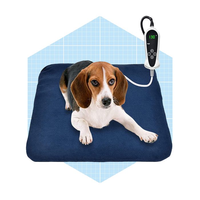 A beagle lies on a blue heated pet bed, with a temperature control device displaying 130°F, set against a light blue grid background.
